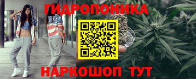 гашик Лесосибирск