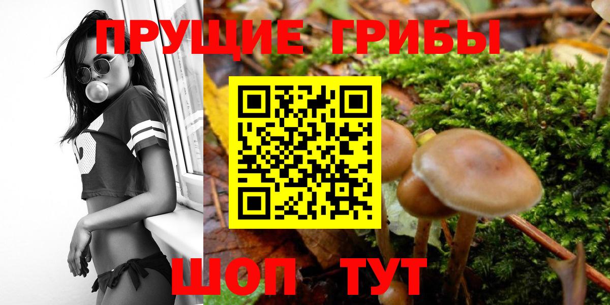МЕТАДОН Юрга