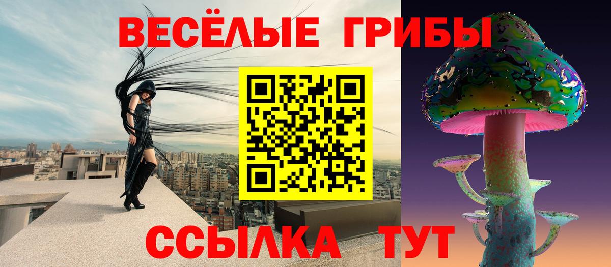 Псилоцибиновые грибы прущие грибы  купить   Юрга  Вход с VPN 