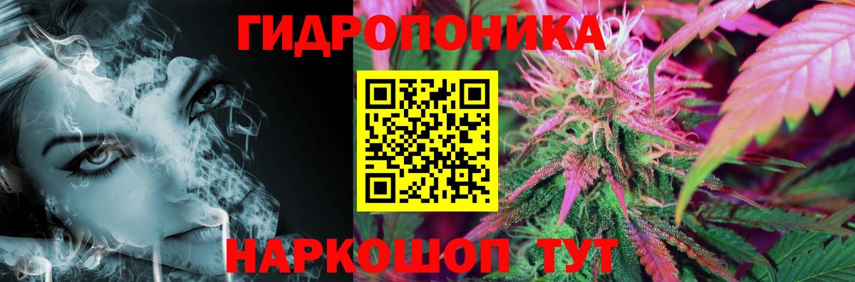 Каннабис конопля Юрга