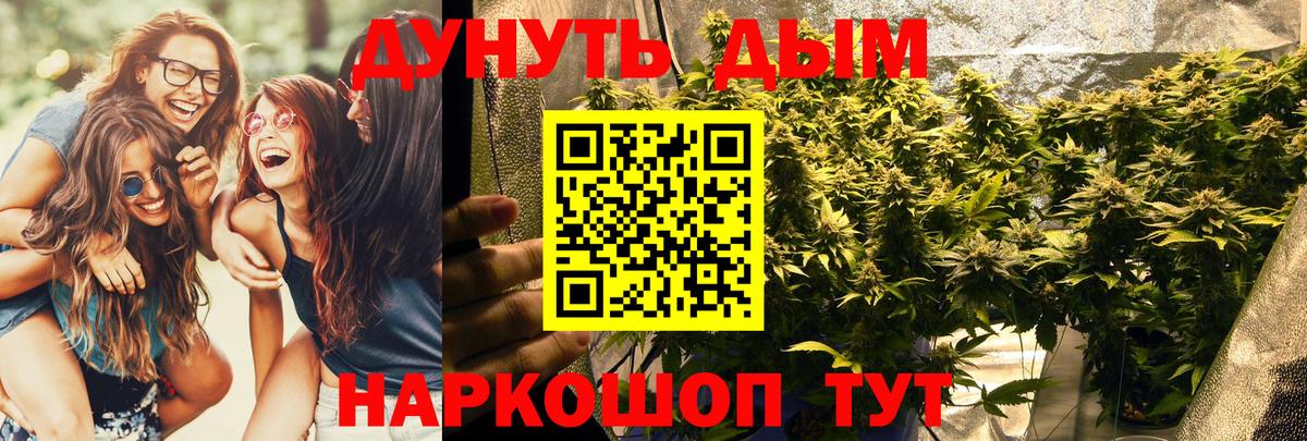 Юрга  Конопля THC 21%  Шишки марихуана ГИДРОПОН  Шишки марихуана сатива  Вход с VPN 